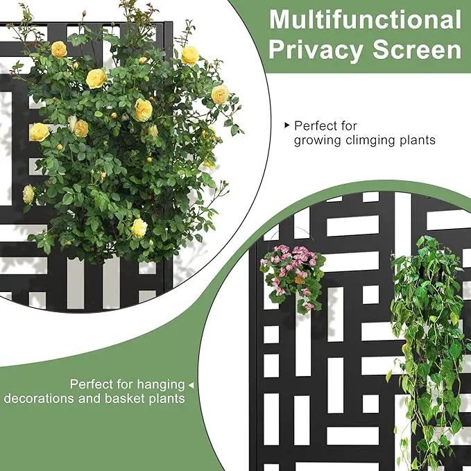 Casaphoria Metal Raised Garden Bed with Trellis, 47"x24"x12" Planter Box for Climbing Plants, Vegetables & Vines, Features Drainage Holes and Privacy Screen (Black-Helen) by GreenHaven Gardens