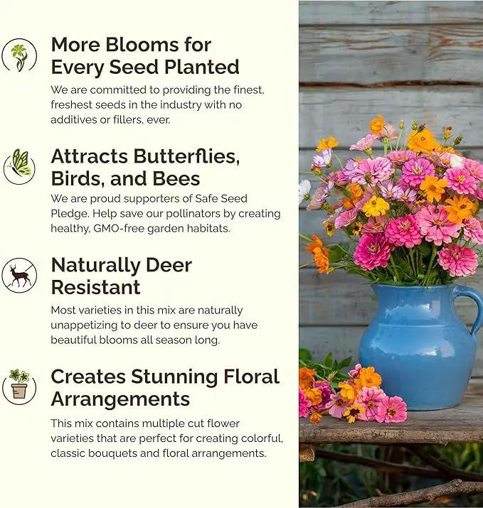 Eden Brothers Orange Sherbet Flower Mixed Seeds for Planting, 5 lb, 2,400,000+ Seeds with Cosmos Picotee, Bright Lights | Attracts Pollinators, Plant in Spring or Fall, Zones 3, 4, 5, 6, 7, 8, 9, 10 by GreenHaven Gardens