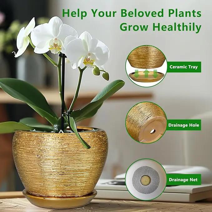 Indoor Plant Pot 6 Inch - Ceramic Pot for Plants Outdoor Planter with Drainage Hole and Saucer Round Decorative Planter Modern Flower Pot for Home Decor Gold by GreenHaven Gardens