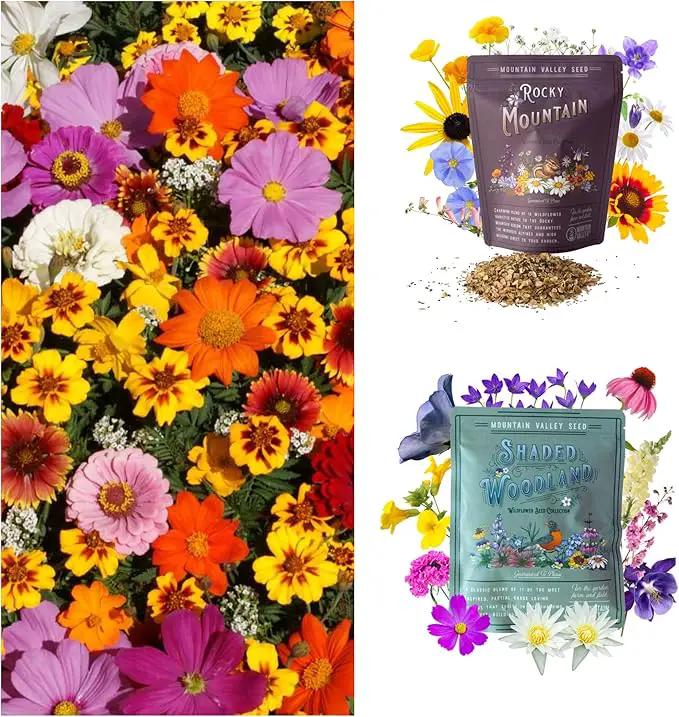 Wildflower Seeds Collection - 500,000+ Bulk Seeds - 6 Different Mixes Including Hummingbird & Butterfly, Save The Monarchs, Save The Bees, Shaded Woodland, Rocky Mountain, & Dryland Pollinator by GreenHaven Gardens