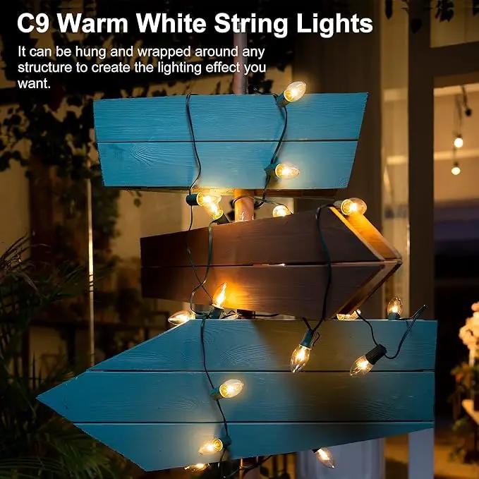 Outdoor Warm Christmas Pathway Lights, 24.2ft 20 Lights with Stakes, Outside Walkway Marker, C9 Christmas Decor, Driveway Decorations, Waterproof, Hanging or Plugging by GreenHaven Gardens