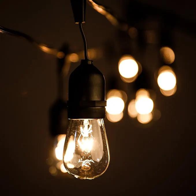 Hometown Evolution, Inc. 50 Foot E26 Commercial Outdoor String Lights with 25 Suspended Sockets and S14 Clear Bulbs for Weatherproof Heavy Duty Vintage Outside Lighting by GreenHaven Gardens