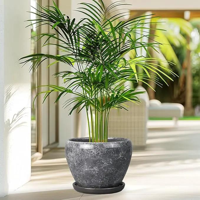 8 Inch Plant Pot - Ceramic Planter Pot with Drainage Hole and Saucer, Glaze Garden Pot Modern Flower Pot for Indoor Plants, Gray by GreenHaven Gardens