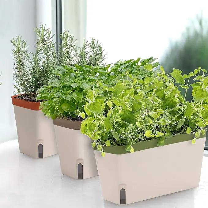 Amazing Creation Window Herb Planter Box, Vibrant Window Herb Garden, Self-Watering Rectangular Planter for Kitchen, Plants, and Succulents - Set of 3 by GreenHaven Gardens