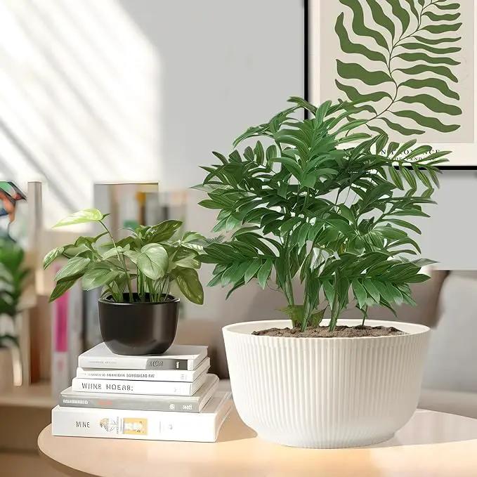 T4U Plant Pots 8 Inch, 2 Pack Self Watering Indoor Planter with Drainage Hole, Shallow Plant Pot, Home Decor Flower Pots for Plants, Herbs, Garden, White by GreenHaven Gardens