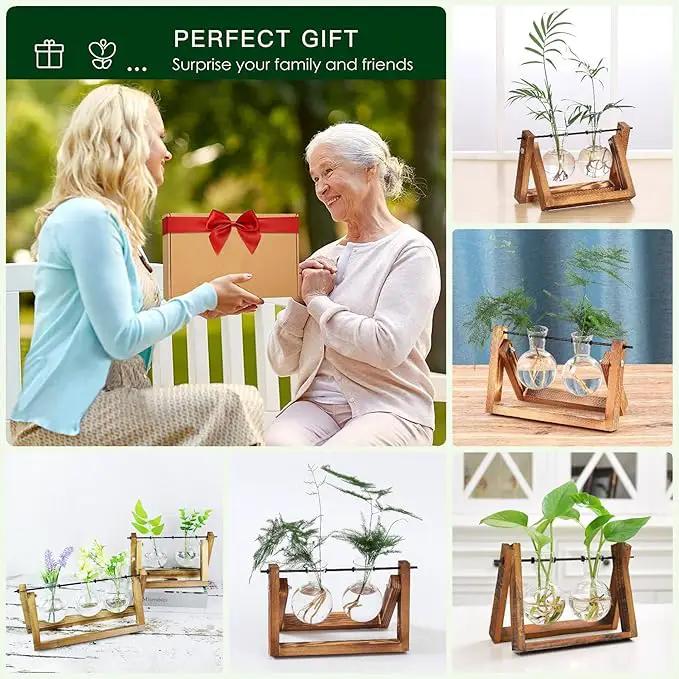 Kingbuy Glass Desktop Planter with Retro Wooden Stand and Plant Terrarium vase (2 Bulbs) for Indoor Office Desk Decor Accessories by GreenHaven Gardens