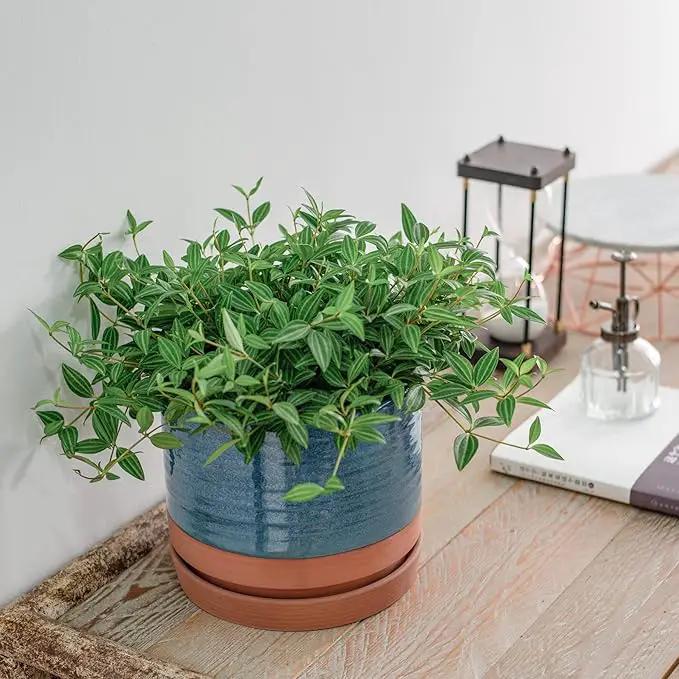 8 Inch Pots for Plants, Ceramic Planter Pot with Drainage Hole & Saucer, Indoor/Outdoor Cylinder Round Planter Pot, Blue & Terracotta by GreenHaven Gardens