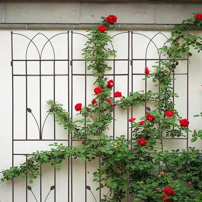 2 Pack Metal Garden Trellis 71" Fence Rustproof Garden Trellis for Climbing Plants Support Roses Flower Outdoor Lawn, Brown 6FT by GreenHaven Gardens