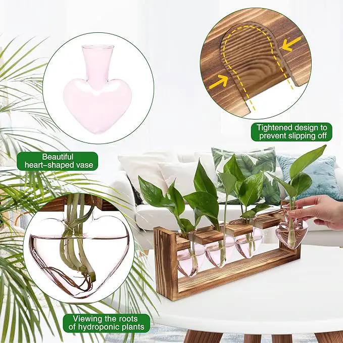 Plant Propagation Stations Heart Plant Terrarium Kit Gift for Women Plant Lover Glass Vases by GreenHaven Gardens