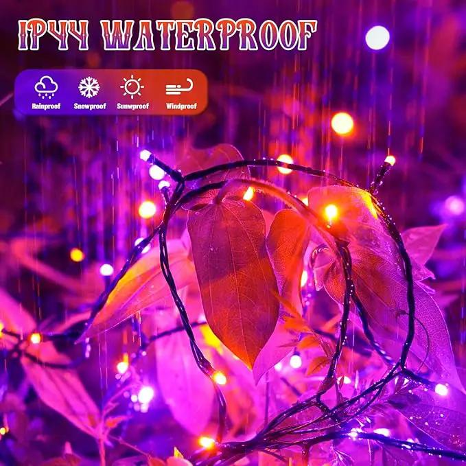 JMEXSUSS Orange and Purple Solar Halloween Lights, 2 Pack Each 100 Led Solar String Lights Outdoor Waterproof for Halloween Tree Christmas Decoration by GreenHaven Gardens