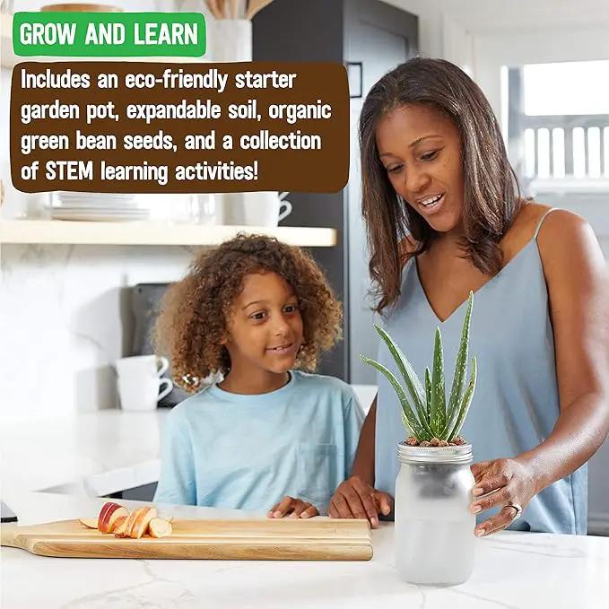 Back to the Roots Self Watering Grow Kit - Glass Hydroponic Planters for Succulents and Cacti - Hassle-Free Self-Watering System by GreenHaven Gardens