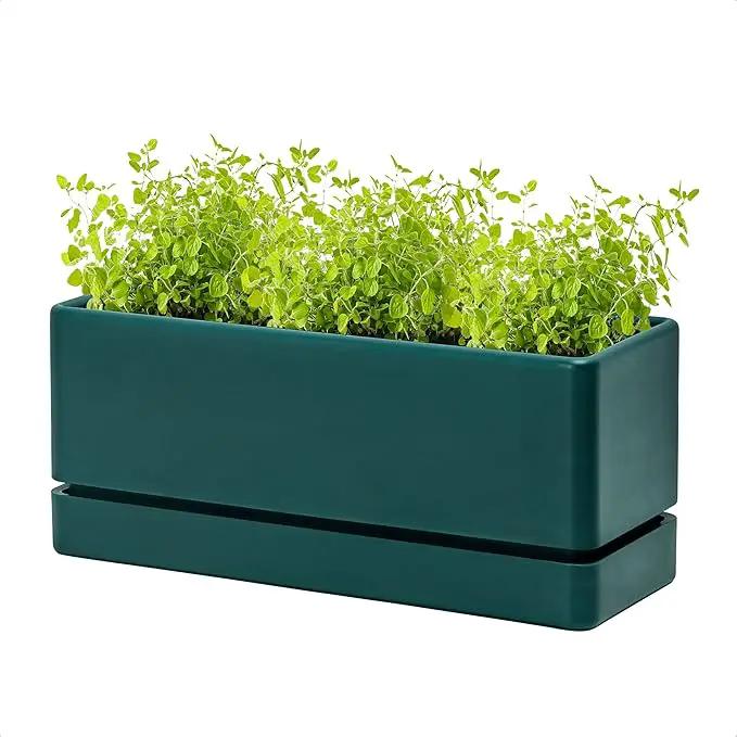 D'vine Dev 12 Inch Window Box Planter, Rectangle Plastic Herb Planter with Drainage Holes and Saucer, Indoor Succulent Cactus Vegetable Pot for Windowsill, Garden Balcony, Green, Set of 1, 76-X-C-1 by GreenHaven Gardens