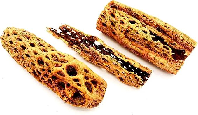 Natural Cholla Wood Chunk Large Air Plant Display Holders Individually Unique Decorative Stands or Holder (Cholla Chunk Extra Large) by GreenHaven Gardens