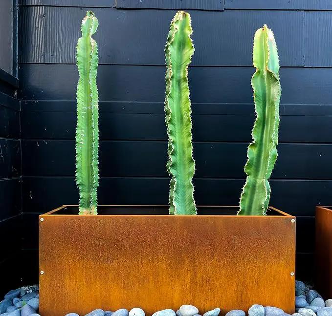 DIY CARTEL Corten Steel Rectangular Outdoor Planter Box, Rustic & Modern Farmhouse Design, Large Raised Metal Garden Bed for Commercial & Residential Use (36in x 12in x 16in) by GreenHaven Gardens