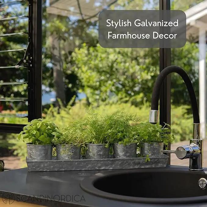 SCANDINORDICA Galvanized Metal Herb Planter, 5 Pots with Drainage Holes, Indoor Outdoor Use, Farmhouse Decor, 19.5x3.9x3.5 inches by GreenHaven Gardens