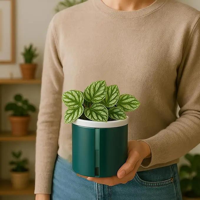 D'vine Dev 4 Inch Design Self Watering Planter for Indoor Plants, White Terracotta Pot with Teal Cylinder Glass Cup, Set of 2, 37-Y-A-5 by GreenHaven Gardens