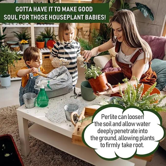 40QT Horticultural Perlite Bulk, Organic Perlite for Plants, Course Perlite for Gardening, for Plants Indoor, for Houseplants, to Promotes Soil Root Growth, and Water Drainage and Plant Growth(3-6mm) by GreenHaven Gardens