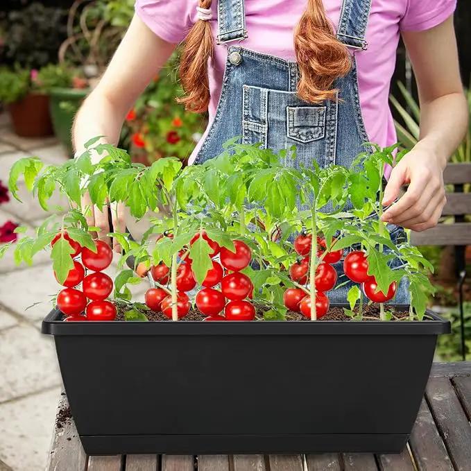 12Pcs 17Inches Rectangle Planter Box with Drainage Holes and Trays Plastic Planters Flower Boxes Pots for Indoor Outdoor Plants Patio Garden Home Decor Porch Yard (Gray) by GreenHaven Gardens