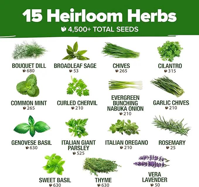 HOME GROWN 15 Herb Seeds for Planting 4,500+ Non-GMO Heirloom Seeds | Extra Large Variety Pack Herb Kit – Indoor Outdoor & Hydroponic | Culinary Seed Set | Grow Your Own Herbs | Gardening Gift by GreenHaven Gardens