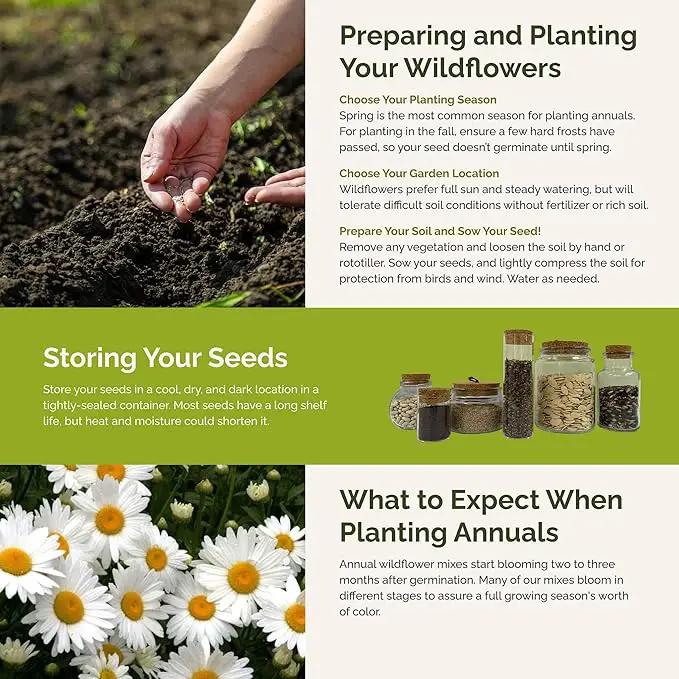 Eden Brothers Cloud 9 Flower Mixed Seeds for Planting, 1/4 lb, 120,000+ Seeds with White Candytuft, Cosmos Purity | Attracts Pollinators, Plant in Spring or Fall, Zones 3, 4, 5, 6, 7, 8, 9, 10 by GreenHaven Gardens