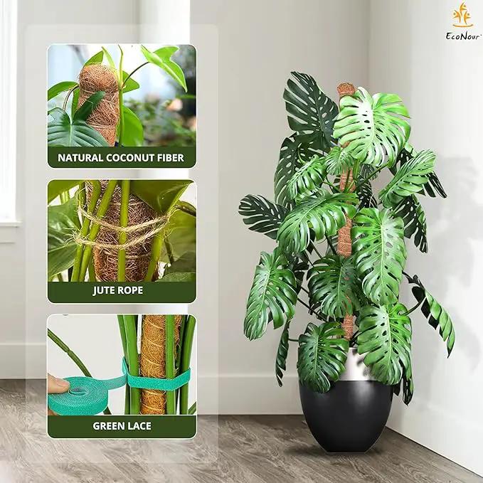 EcoNour Moss Pole for Plants – 48 inches 2 Pack | Monstera Plant Support for Plant Climbing and Growth | Elevate Your Indoor Garden, Plant Support for Indoor Potted Plants to Grow Upwards by GreenHaven Gardens