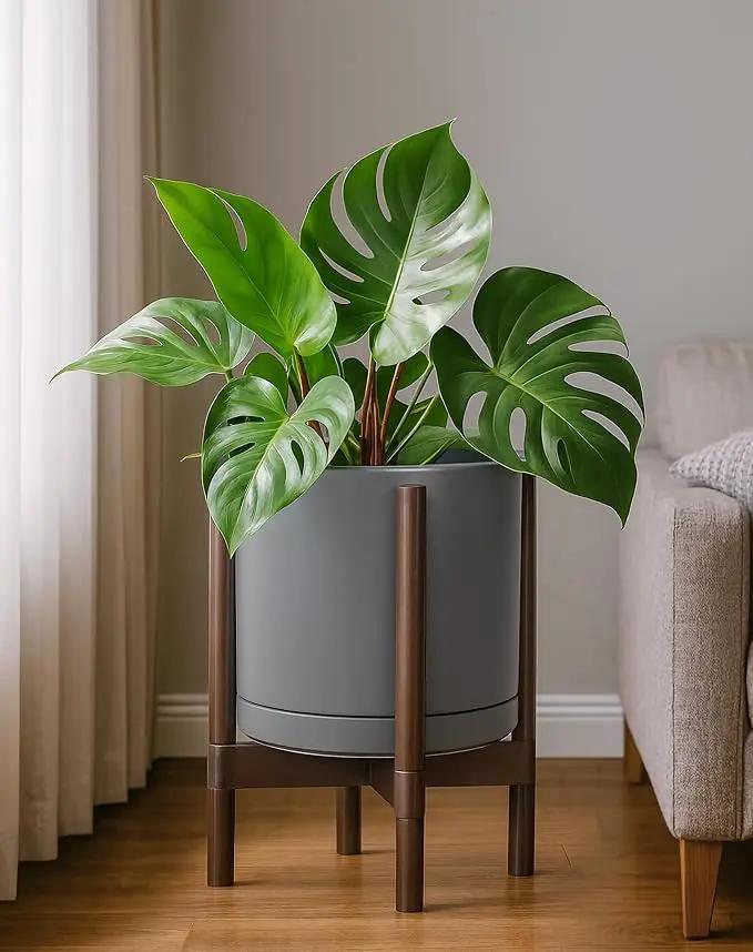 D'vine Dev Ceramic Planter with Walnut Color Stand - 12 Inch Modern Round Flower Pot with Wood Planter Holder, Grey, 55-B-W-3 by GreenHaven Gardens