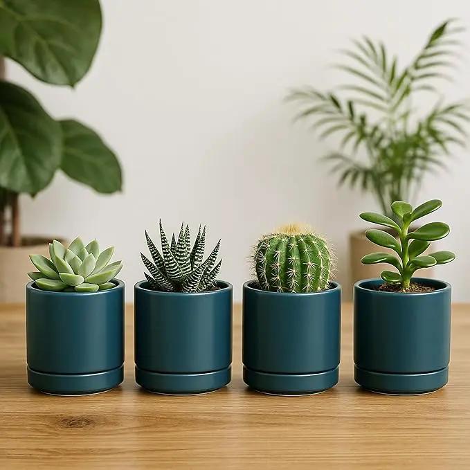 D'vine Dev Set of 4 Small Ceramic Plant Pots, 3.5 Inch Succulent Planter Pot for Plants with Drainage Hole and Saucer, Teal, 94-X-A-9 by GreenHaven Gardens