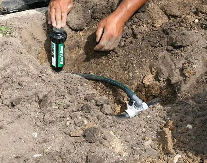 Rain Bird SWGP24INS EZ Pipe Flexible Swing Pipe, 2' Length (Pack of 2) by GreenHaven Gardens