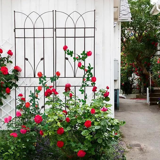 2 Pack Metal Garden Trellis 71" Fence Rustproof Garden Trellis for Climbing Plants Support Roses Flower Outdoor Lawn, Brown 6FT by GreenHaven Gardens