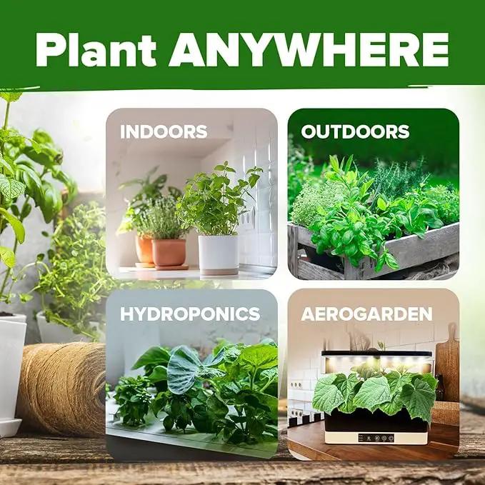 HOME GROWN 15 Herb Seeds for Planting 4,500+ Non-GMO Heirloom Seeds | Extra Large Variety Pack Herb Kit – Indoor Outdoor & Hydroponic | Culinary Seed Set | Grow Your Own Herbs | Gardening Gift by GreenHaven Gardens