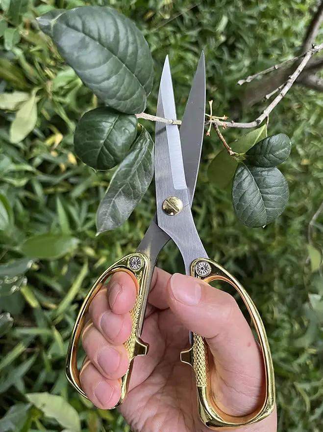 Japanese Garden Clippers, Houseplant plant shears, Floral Pruner Botanical Flower Stem scissors, Gardening Shears with Straight Stainless Steel Blades, Easy Use Garden Tools (golden-k26) by GreenHaven Gardens