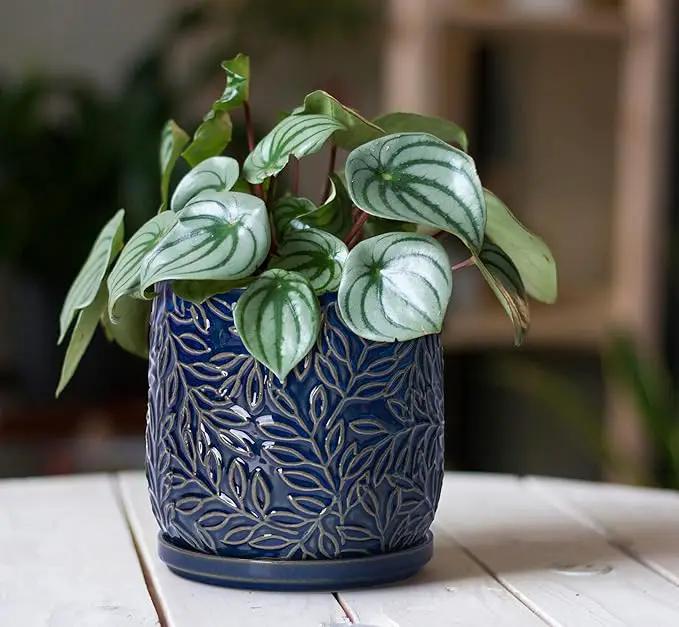 D'vine Dev 5 Inch Embossed Leaves Stoneware Planter Pot with Drainage Hole and Saucer, Midnight Blue, 27-A-V-3 by GreenHaven Gardens