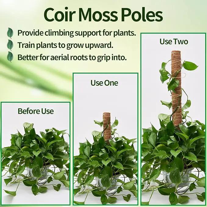 6 Pcs Moss Pole Extending to 68 Inches for Plants Monstera, Plant Support Stakes for Indoor Climbing Plants Grow Upwards, with 65ft Twist Ties, 13ft Jute Rope, 6.5ft Hook-and-Loop Strip by GreenHaven Gardens