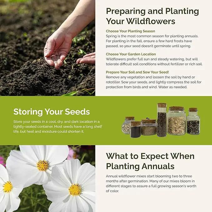 Eden Brothers Moon Garden Flower Mixed Seeds for Planting, 1/4 lb, 120,000+ Seeds with Cosmos Purity, Bishop's Flower | Attracts Pollinators, Plant in Spring or Fall, Zones 3, 4, 5, 6, 7, 8, 9, 10 by GreenHaven Gardens