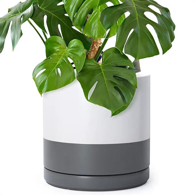 D'vine Dev 12 Inch Ceramic Planter Pot with Drainage Hole and Saucer, Indoor Cylinder Round Planter Pot, White/Speckled Grey, 94-O-F-6 by GreenHaven Gardens