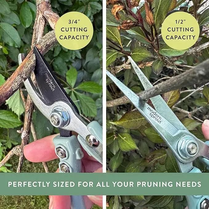 Modern Sprout Hand Pruners & Shears Set - Lightweight Gardening Tools W/Easy Lock - Sharp Carbon Steel Blades -Rust Resistant Scissors for Herbs, Flowers - Reusable Holster - Lavender by GreenHaven Gardens