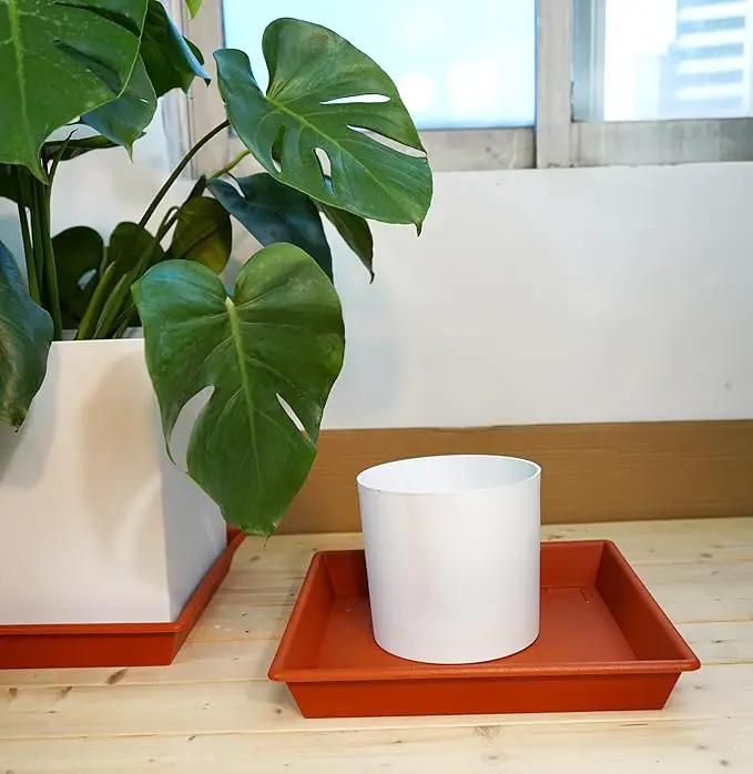 Square Plant Saucer 12 Inch 5 Pack, Plant Stand Plant Trays for Pots Heavy Duty Plastic Plant Saucers for Indoors Outdoors, Flower Pot No Holes Terracotta Plant Lover Gardening Gifts by GreenHaven Gardens