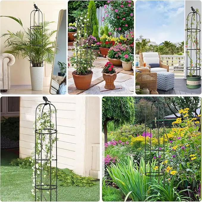 2 Pcs Garden Trellis for Climbing Plants, 6 Ft Rustproof Metal Pipe with Heavy Duty Plastic Coated, Garden Outdoor Indoor Potted Plant Support, Obelisk Garden Trellis for Climbing Vine by GreenHaven Gardens