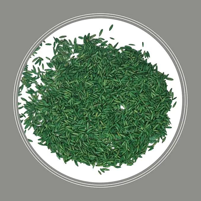 Pennington Contractors Grass Seed Mix Northern Mix 40 lb by GreenHaven Gardens