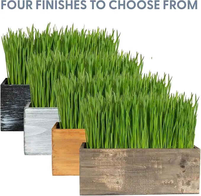The Cat Ladies Cat Grass Kit Complete with Rustic Wood Planter, Organic Seed and Soil. Easy to Grow - Great for Indoor or Outdoor Cat, Dogs and Other Pets. Prevent Hairballs and Aid Digestion… by GreenHaven Gardens