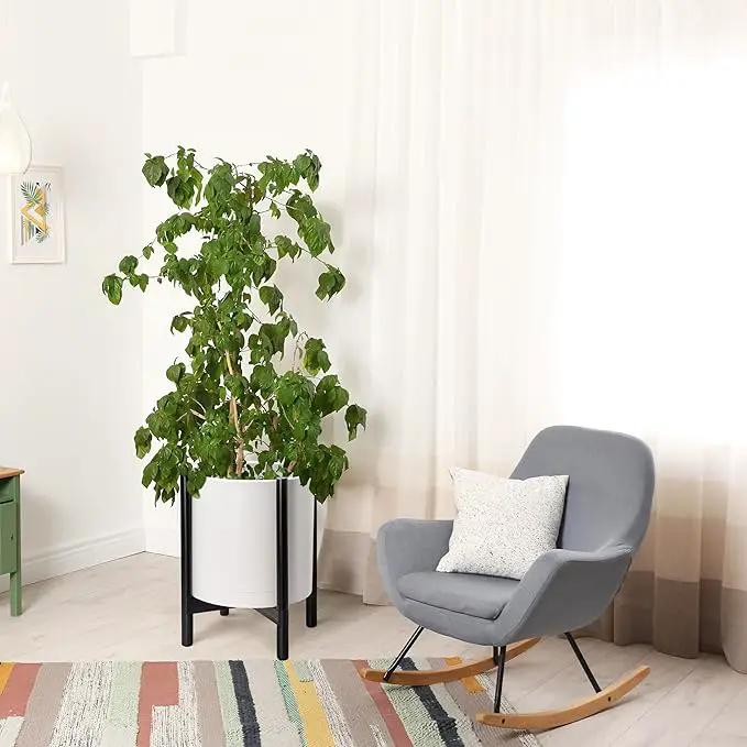 D'vine Dev Planter Pot with Stand - 16 Inch Plastic Cylinder Flower Pot with Wood Planter Holder for Indoor, Matte White Pot + Ebony Stand, 55-C-Z-1 by GreenHaven Gardens