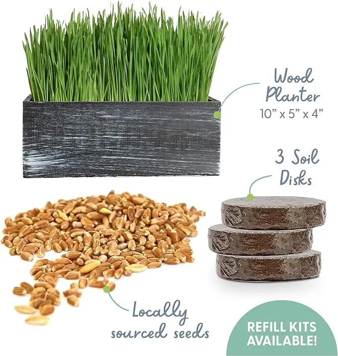 The Cat Ladies Cat Grass Kit with Black Rustic Wooden Planter, Organic Cat Grass Seeds and Soil. Easy to Grow Cat Grass for Indoor Cats. Prevent Hairballs and Aid Digestion by GreenHaven Gardens