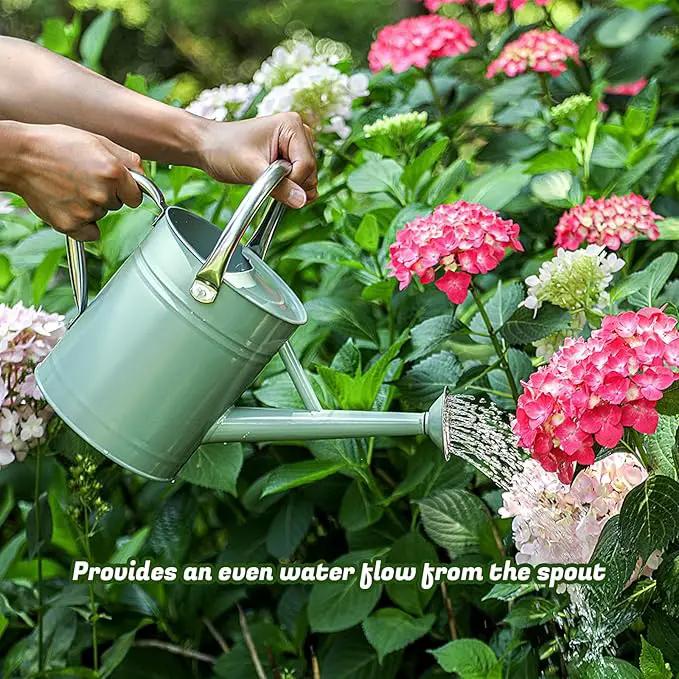 1 Gallon Watering Can for Plants, Watering Cans for Indoor&Outdoor Gardening, Galvanized Steel Watering Pot with Removable Spout, Metal Water Can with Ergonomic Movable Handle(Cream Green) by GreenHaven Gardens