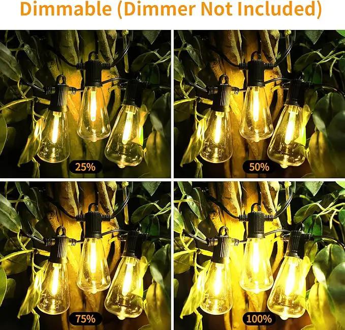 ZOTOYI Outdoor String Lights 25FT, Waterproof IP65 Patio Lights with 13 Shatterproof ST38 LED Bulbs, Outside Hanging Light Dimmable for Backyard, Bistro, Cafe, Garden 2700K Warm White by GreenHaven Gardens