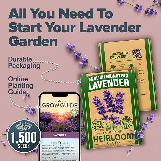 HOME GROWN 𝗨𝗦𝗔 𝗣𝗥𝗘𝗠𝗜𝗨𝗠 English Lavender Seeds 2 Pack 3000 𝗡𝗢𝗡-𝗚𝗠𝗢 Wildflower Seed, for Planting Indoor Outdoor High Germination Flower Seeds (Lavandula antustifolia) by GreenHaven Gardens
