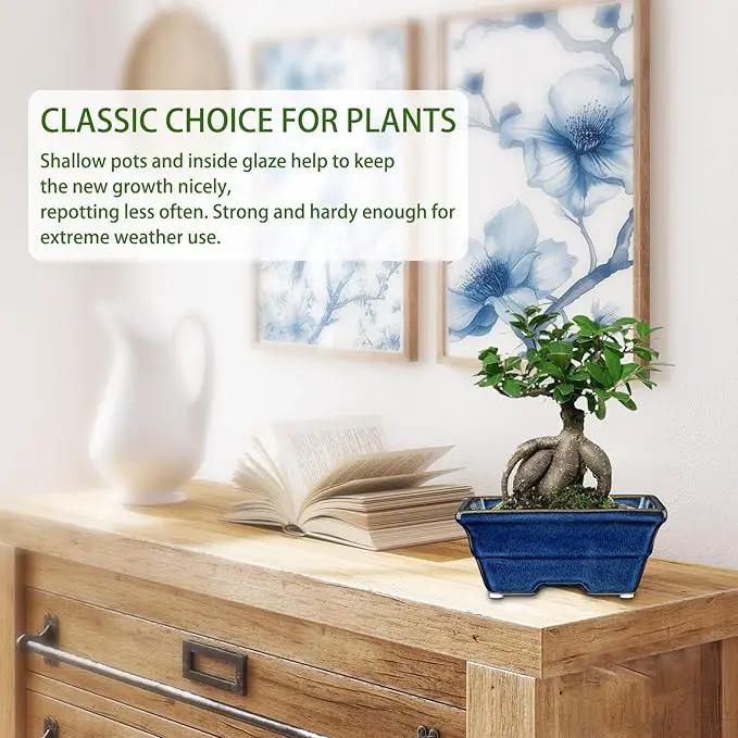 Bonsai Pots Shallow Succulent Planters for Live Bonsai Trees Set of 2, 6.3" Ceramic Pot for Succulents Indoor with Drainage Hole, Outdoor Cactus Plant Bonsai Pot，Ceramic Flower Pot by GreenHaven Gardens