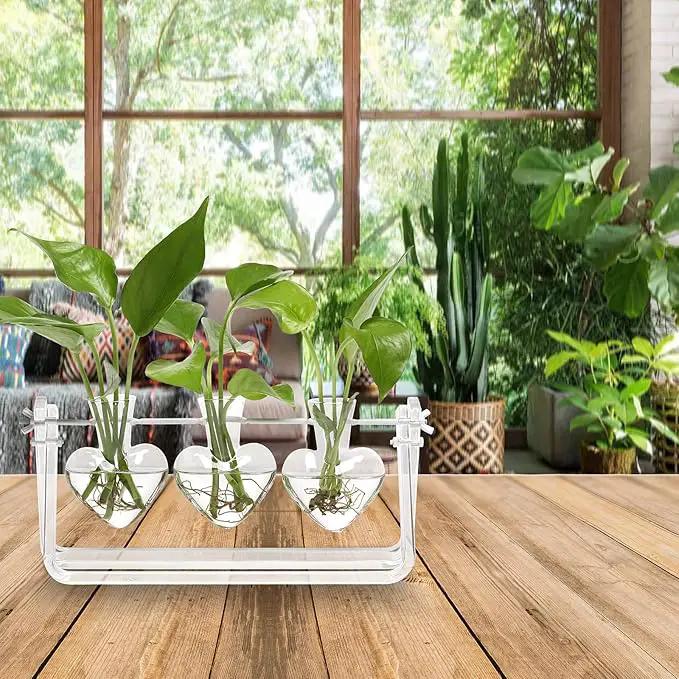 Plant Terrarium Propagation Stations with Acrylic Stand Birthday Gifts for Women Plant Stand Indoor Office Home Decor by GreenHaven Gardens