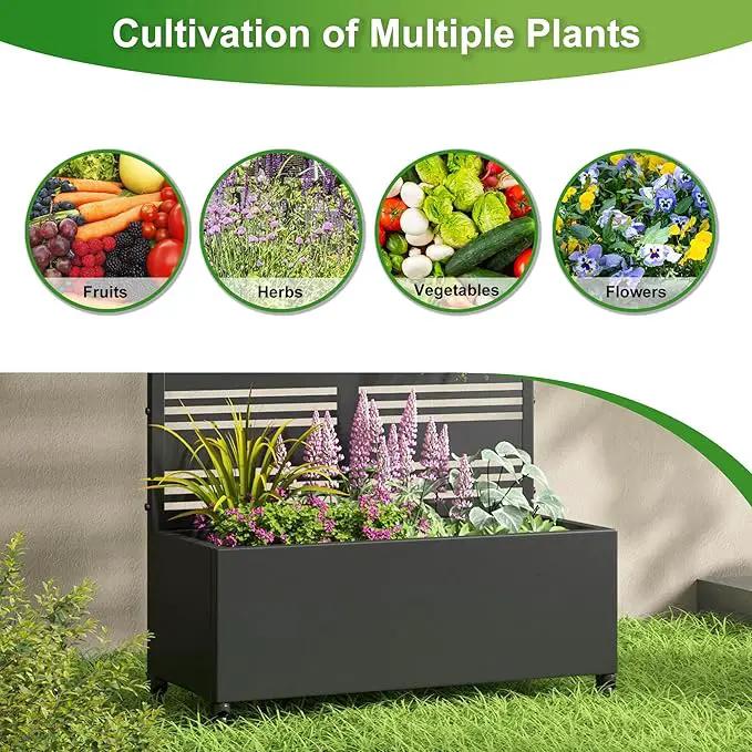 Casaphoria Metal Raised Garden Bed with Trellis and Wheels, 72"x35"x16" Planter Box for Climbing Plants, Vegetables & Vines, Features Drainage Holes and Privacy Screen (Black-Harold) by GreenHaven Gardens