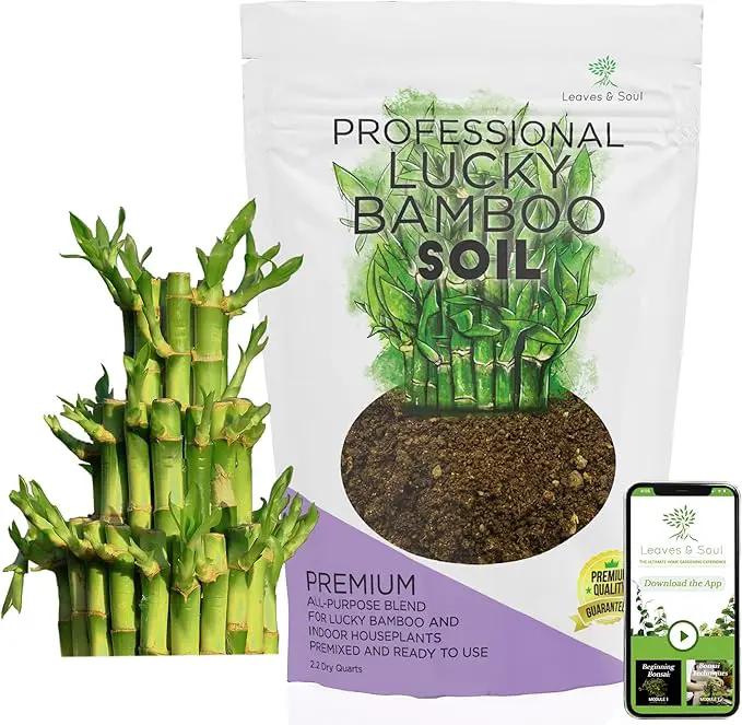 Professional Lucky Bamboo Soil | Large 2.2 Quarts Ready to Use for Lucky Bamboo Plants | Peat Moss, Coco Coir, Perlite, Dolomite | Made in USA by GreenHaven Gardens