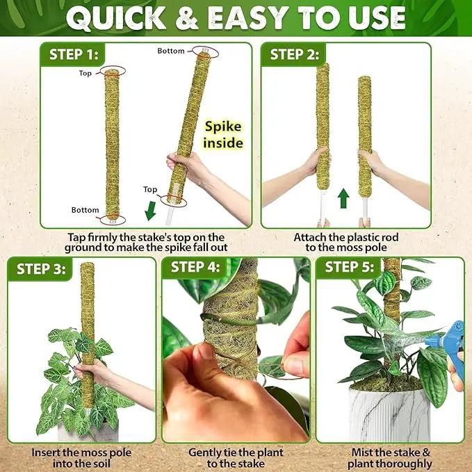 DUSPRO Natural Stackable Moss Pole for Plants Monstera, Forest Moss Sticks, Monstera Plant Support, Handmade Plant Stakes for Indoor Plants for Potted Plant to Grow Upward 02 pcs 22'' by GreenHaven Gardens